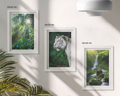 Tavelvägg med 3 tavlor Djungel med en vit tiger och ett vilt vattenfall