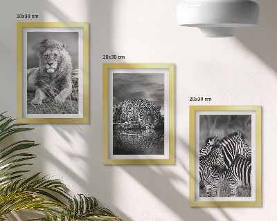Tavelvägg med 3 tavlor Vilda djur på savannen: lejon, jaguar och zebra