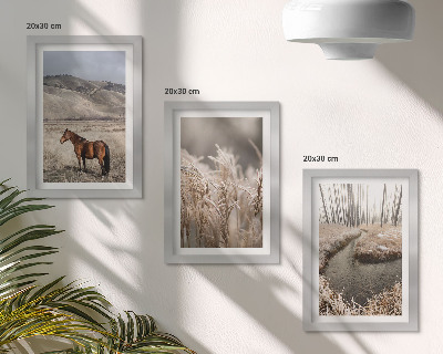 Posterpaket Hästar i ett landskap av gräs och en vinterbäck
