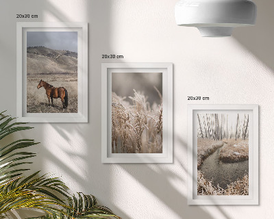 Posterpaket Hästar i ett landskap av gräs och en vinterbäck