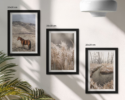 Posterpaket Hästar i ett landskap av gräs och en vinterbäck