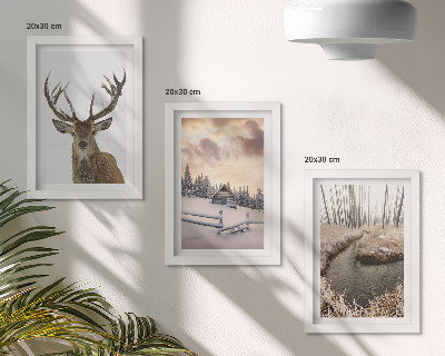 Posterpaket Vinterlandskap med en hjortkoja och en bäck