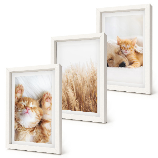 Posterpaket Söta djur katter hundar delikat gräs boho