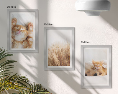 Posterpaket Söta djur katter hundar delikat gräs boho
