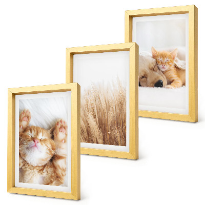 Posterpaket Söta djur katter hundar delikat gräs boho
