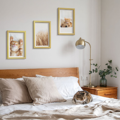 Posterpaket Söta djur katter hundar delikat gräs boho