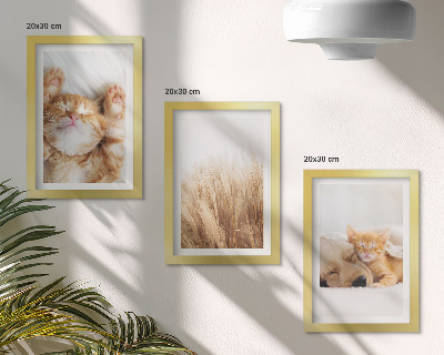 Posterpaket Söta djur katter hundar delikat gräs boho