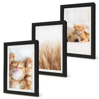 Posterpaket Söta djur katter hundar delikat gräs boho