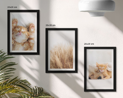 Posterpaket Söta djur katter hundar delikat gräs boho