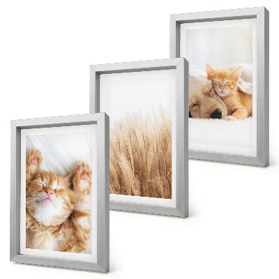 Posterpaket Söta djur katter hundar delikat gräs boho