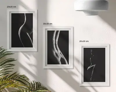 Triptyk med ram svartvita kvinnliga silhuetter med erotiskt motiv