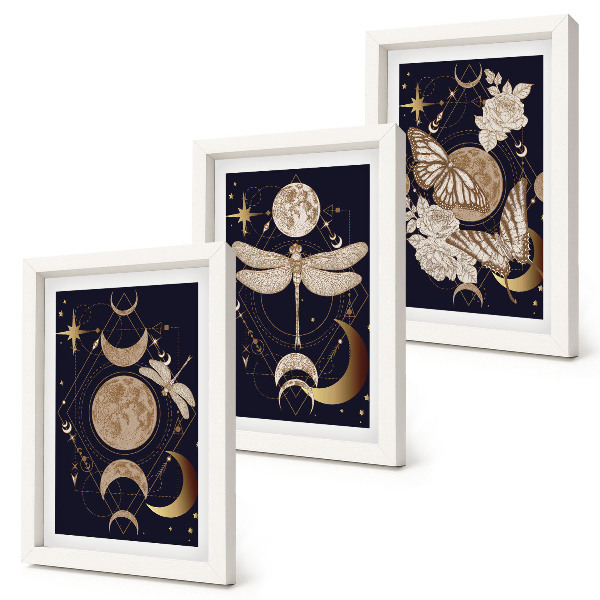 Triptyk tavla med ram Naturmotiv med månen, rymden och blommor