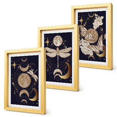 Triptyk tavla med ram Naturmotiv med månen, rymden och blommor