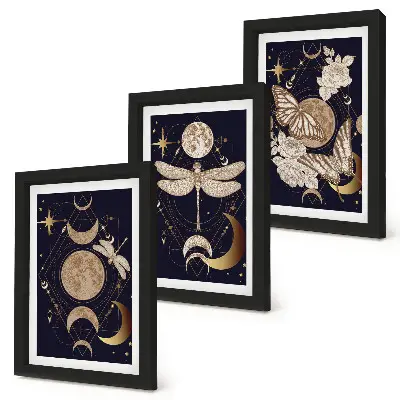 Triptyk med månen, rymden och blommor tavla med ram