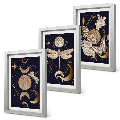 Triptyk tavla med ram Naturmotiv med månen, rymden och blommor