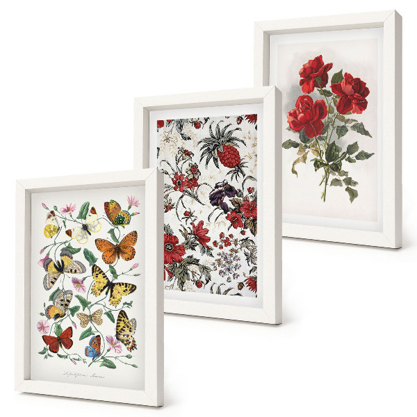 Tavelvägg med 3 tavlor Fjärilar, blommor och röda rosor i klassisk stil