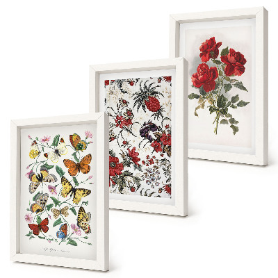 Tavelvägg med 3 tavlor Fjärilar, blommor och röda rosor i klassisk stil