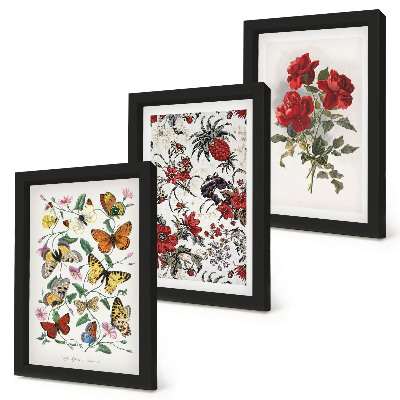 Tavelvägg med 3 tavlor Fjärilar, blommor och röda rosor i klassisk stil