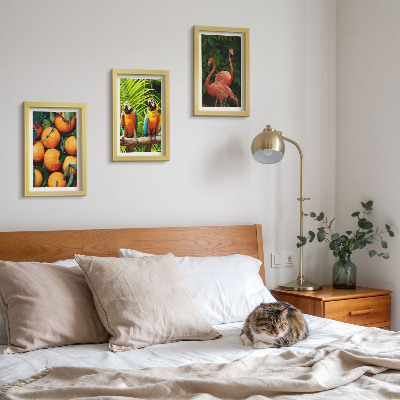 Posterpaket Fruktiga accenter med papegojor och flamingos i tropikerna