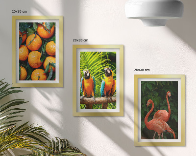 Posterpaket Fruktiga accenter med papegojor och flamingos i tropikerna