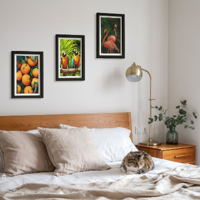 Posterpaket Fruktiga accenter med papegojor och flamingos i tropikerna