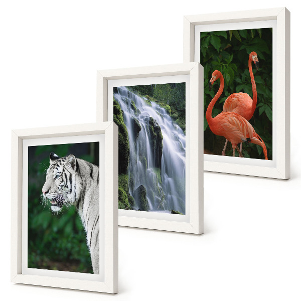Triptyk tavla med ram Tigervattenfall och rosa flamingos i naturen