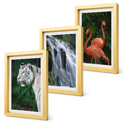 Triptyk tavla med ram Tigervattenfall och rosa flamingos i naturen