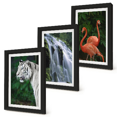 Triptyk tavla med ram Tigervattenfall och rosa flamingos i naturen