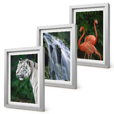 Triptyk tavla med ram Tigervattenfall och rosa flamingos i naturen