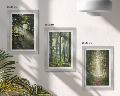 Posterpaket Gröna skogar med ljusstrålar och en skogsstig