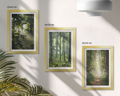 Posterpaket Gröna skogar med ljusstrålar och en skogsstig