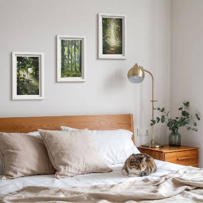 Posterpaket Gröna skogar med ljusstrålar och en skogsstig