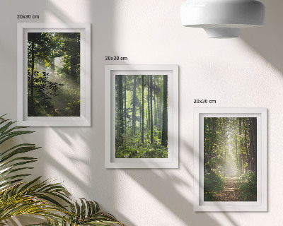Posterpaket Gröna skogar med ljusstrålar och en skogsstig