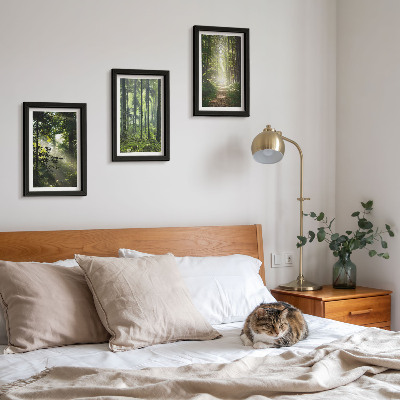 Posterpaket Gröna skogar med ljusstrålar och en skogsstig