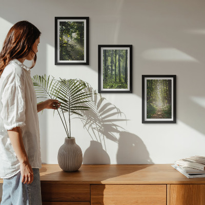 Posterpaket Gröna skogar med ljusstrålar och en skogsstig