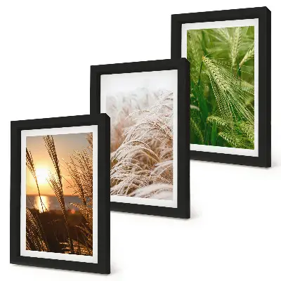 Triptyk tavla med ram med motiv av färgglatt naturgräs