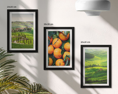 Posterpaket Italienskt landsbygdslandskap med apelsiner och natur