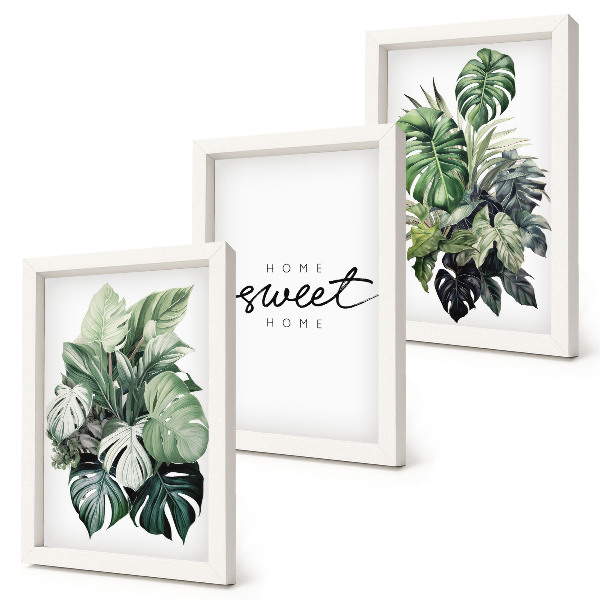 Posterpaket Gröna växter med orden
