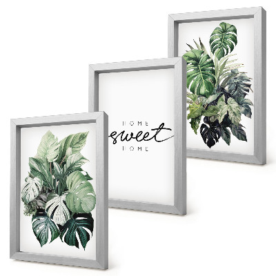 Posterpaket Gröna växter med orden 