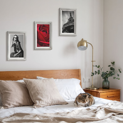 Posterpaket Parisisk kvinna med rosa glasögon och Eiffeltornet