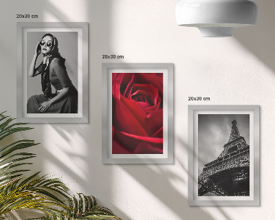 Posterpaket Parisisk kvinna med rosa glasögon och Eiffeltornet