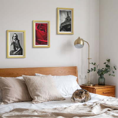 Posterpaket Parisisk kvinna med rosa glasögon och Eiffeltornet
