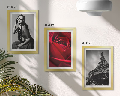 Posterpaket Parisisk kvinna med rosa glasögon och Eiffeltornet