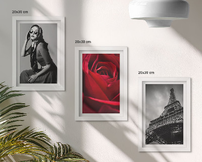 Posterpaket Parisisk kvinna med rosa glasögon och Eiffeltornet
