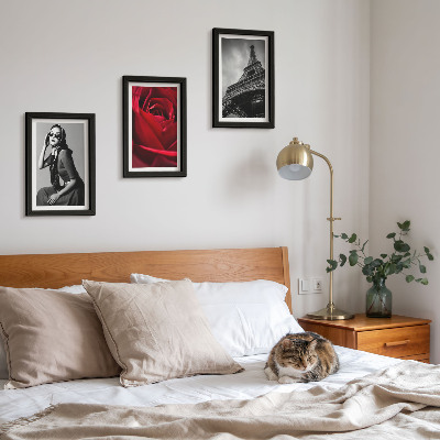 Posterpaket Parisisk kvinna med rosa glasögon och Eiffeltornet