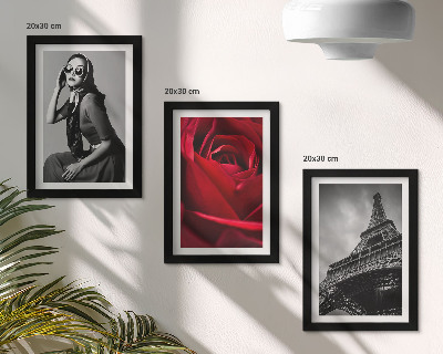 Posterpaket Parisisk kvinna med rosa glasögon och Eiffeltornet
