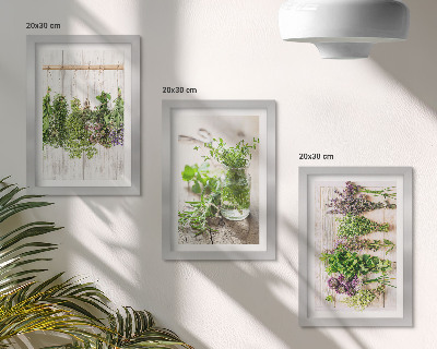 Posterpaket Torkning av örter och växter för köket