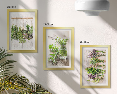 Posterpaket Torkning av örter och växter för köket