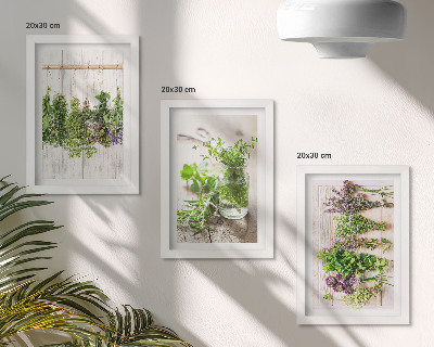 Posterpaket Torkning av örter och växter för köket