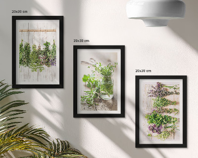 Posterpaket Torkning av örter och växter för köket